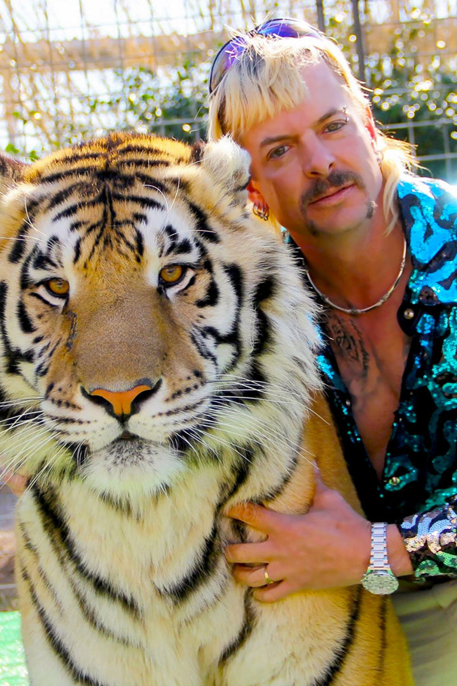 Joe Exotic Animal Tiger King Art Wall Indoor Room Outdoor Etsy