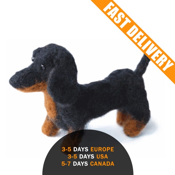 Dachshund Dog Needle Felting Kit Craft Kit Adults Felting Lover Gift Felting  Gift Box Felting Beginner Kit 