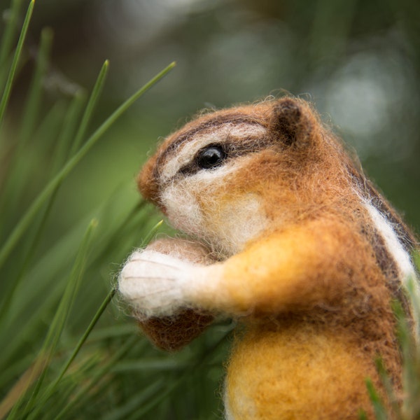 Chipmunk Needle felted Felting kit Little chipmunk Needle Felting Kit - felting beginners - Needle Felted animal / felting kit animal