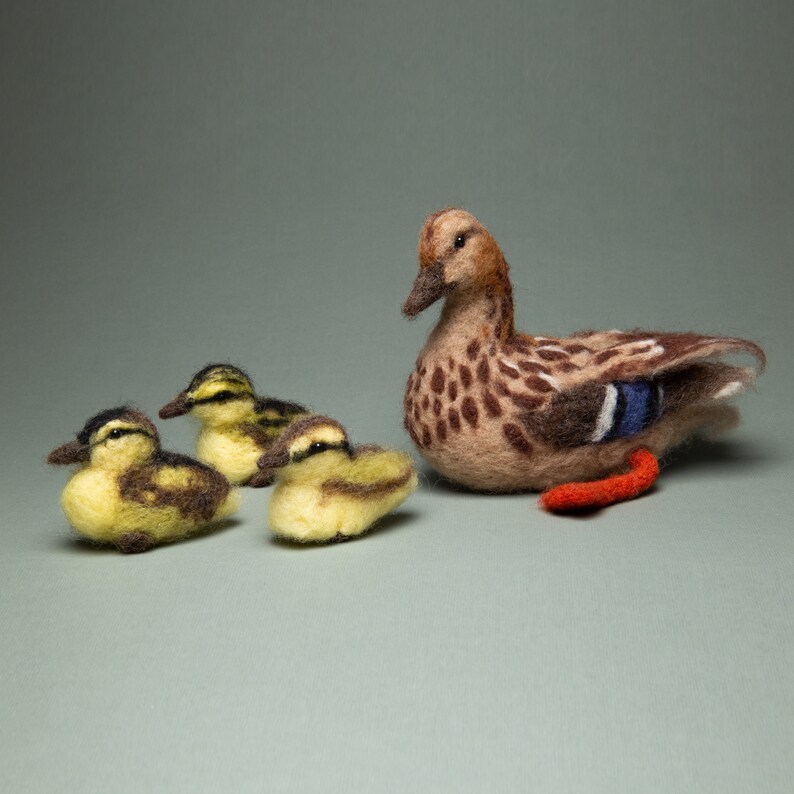 Bird Duck DIY Needle Felting Kit Ducks / Felting Kit for Etsy