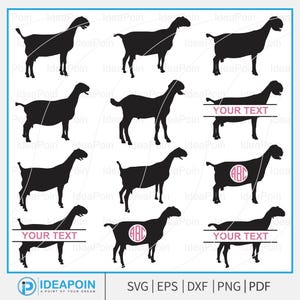 Svg de chèvre de Nubie, montrer la chèvre SVG, monogramme de Nubie SVG, SVG de chèvre, ferme de chèvres, animaux de foire de l'agriculture, Silhouette de chèvre de Nubie, exposition de stock