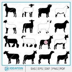 Mostra pecora svg, Mostra agnello SVG, Mostra contorno pecora, Mostra animale PNG, Mostra monogramma pecora, Silhouette agnello da mercato, Mostra bestiame svg
