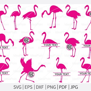 Roze flamingo gesneden bestand, flamingo monogram frame, flamingo svg, flamingo svg bundel, flamingo monogram svg, roze flamingo svg, silhouet