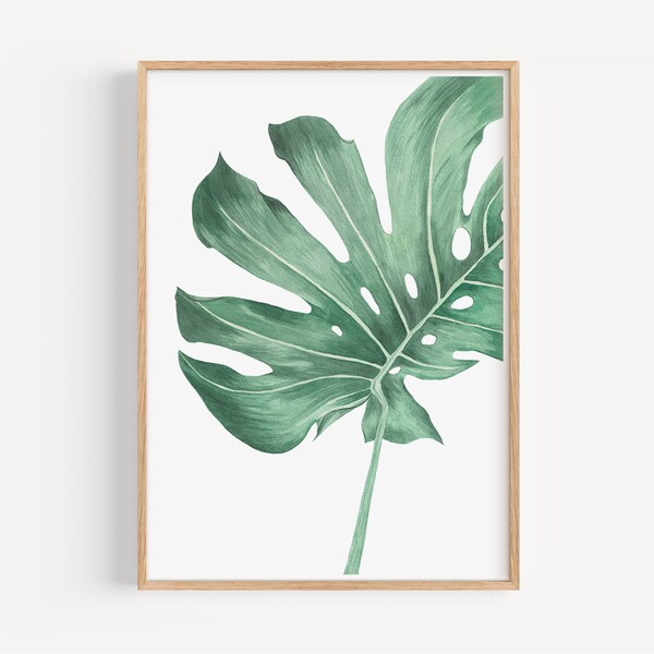 Monstera Aquarell Bild | Poster | botanischer Kunstdruck | Fine Art Print | Geschenk für Pflanzenliebhaber