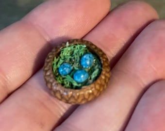 miniature birds nest with eggs