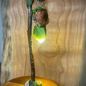 May include: A miniature lamp featuring a brown twig-like post standing on a mossy base. A small, brown, textured mushroom cap hangs from a curved hook at the top, with a green fabric leaf element and a glowing white light emitting from below.