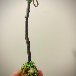 May include: A miniature brown wooden staff standing upright on a circular base covered in green moss and small stones. The top of the staff features a small cluster of green moss and a curved brown hook. The text ForestFindsNFairies is visible.