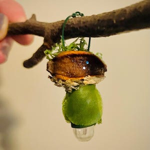 May include: A small hanging ornament featuring a brown acorn cap topped with green moss, suspended by a thin green wire. Below the cap is a bright green fabric sphere with a small, clear, translucent bulb-shaped piece attached at the bottom.