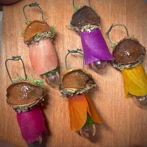 May include: Five hanging ornaments featuring brown, glossy, mushroom-shaped caps topped with green moss and wire loops. Each ornament has a fabric skirt in shades of pink, purple, yellow, magenta, or orange, covering a small, clear, rounded glass base.