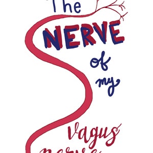 May include: A red illustration of the vagus nerve with the text "B. The NERVE of my vagus nerve" in blue and red.