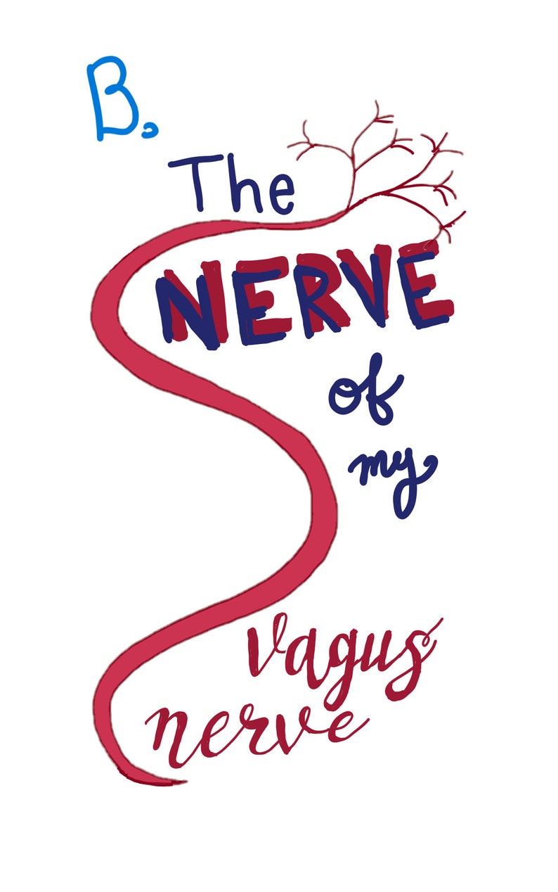 May include: A red illustration of the vagus nerve with the text "B. The NERVE of my vagus nerve" in blue and red.