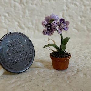 1:12 scale purple orchid, harlequin orchid, in aged pot