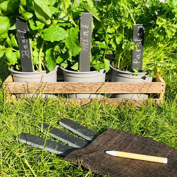 Slate Plant Labels Etsy UK