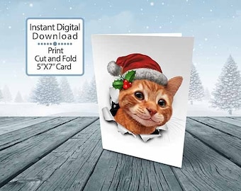 A Funny illustrated Christmas Greeting card with a cute Christmas cat wearing a Santa Claus hat bursting out of the card for pet lovers.
