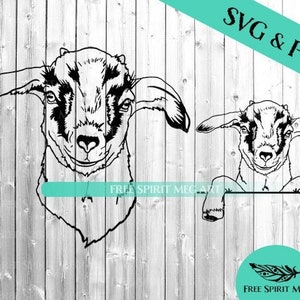 Goat SVG & PNG, Farm svg, Digital Download svg file for cricut, Peeking Goat svg