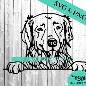 Golden Retriever SVG & PNG, digitale download SVG-bestand voor de cricut, hond SVG, gluren hond SVG