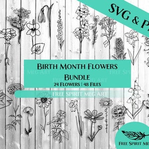 Paquete SVG & PNG de flores del mes de nacimiento, 48 archivos, descarga digital, flora complete collection incluye flores alternativas