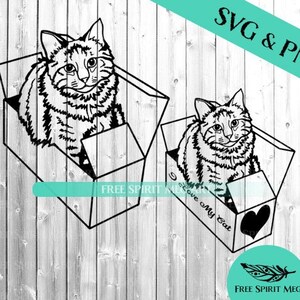 Katze in einer Box SVG & PNG, 4 Dateien, Sofort Download für Cricut Design, Feline Serie