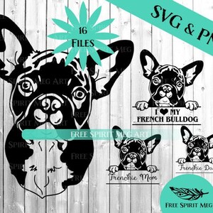 Pacote SVG e PNG de filhote de cachorro Bulldog Francês, 16 arquivos, arquivo de corte de download instantâneo para Cricut, Frenchie com moldura