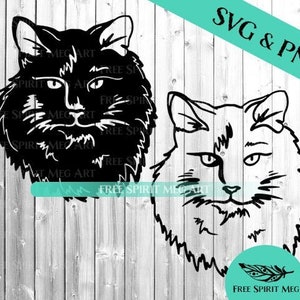 Long Haired Cat SVG & PNG Bundle mit schwarzer Katze, Instant Download Cut Dateien, Feline Serie