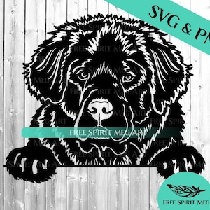 Neufundländer SVG, digitaler Download, plus PNG-Datei, Hund Mama svg