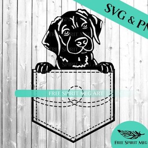 Black Lab SVG & PNG, Labrador Retriever svg, Pocket Puppy svg, Digital Download svg file for cricut