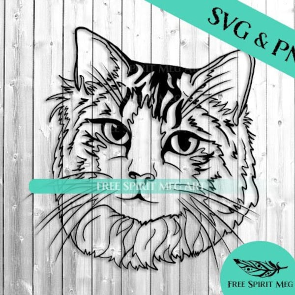 Long Haired Cat SVG & PNG, Digital Download svg file for cricut, Cat Face svg, Fluffy cat svg, Ragdoll cat svg, Tabby cat svg