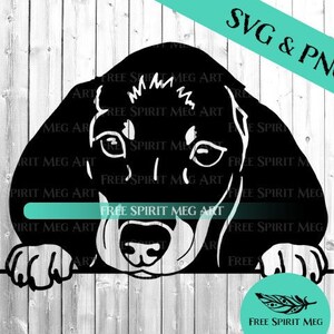 Teckel SVG & PNG, hond svg, puppy svg, Doxie svg, digitale download svg-bestand voor cricut, Peeking Dog svg, Weiner-hond svg, worst hond svg