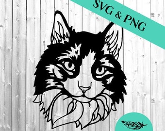 Cabeza de gato de pelo largo SVG y PNG Files, descarga instantánea para diseño de cricut, serie felina