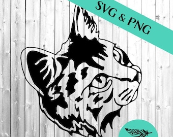 Cara de gato de pelo largo SVG y PNG: Archivo de corte (Descarga digital)