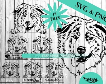 Australian Shepherd SVG & PNG Bundle, 14 files, Digital Download, Aussie Mom
