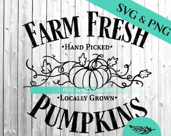 Farm Fresh Pumpkins SVG & PNG, Digital Download, Fall Autumn Design, 2 files