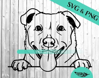 Lab Pit Mix Svg Labrador Retriever Mix Svg - Etsy