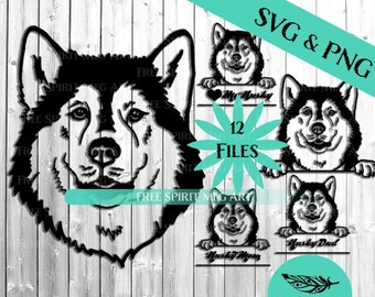 husky jibbitz