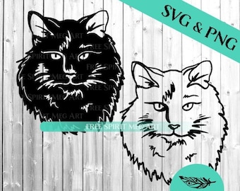 Paquete SVG y PNG de gato de pelo largo: archivos recortados de cara de gato