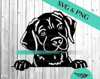Black Labrador Retriever Puppy SVG & PNG
