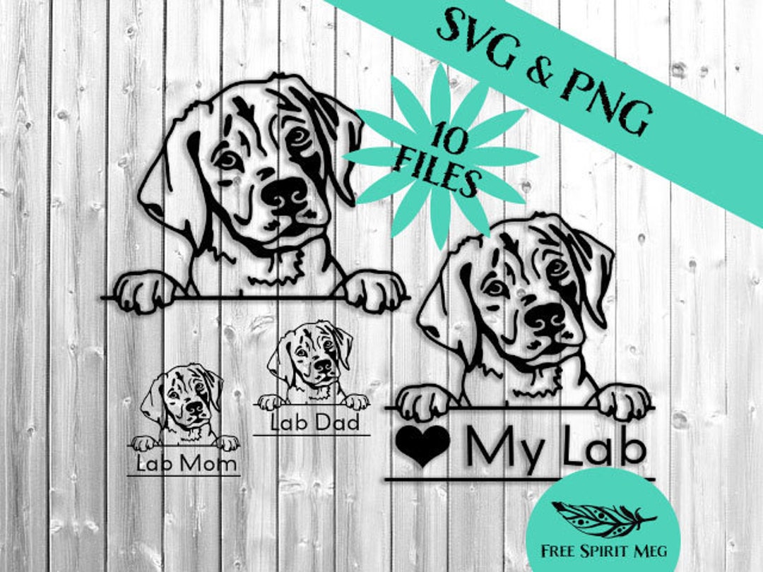 Lab Pit Mix Svg Labrador Retriever Puppy SVG & PNG Bundle, 10 Files, Instant Download ...