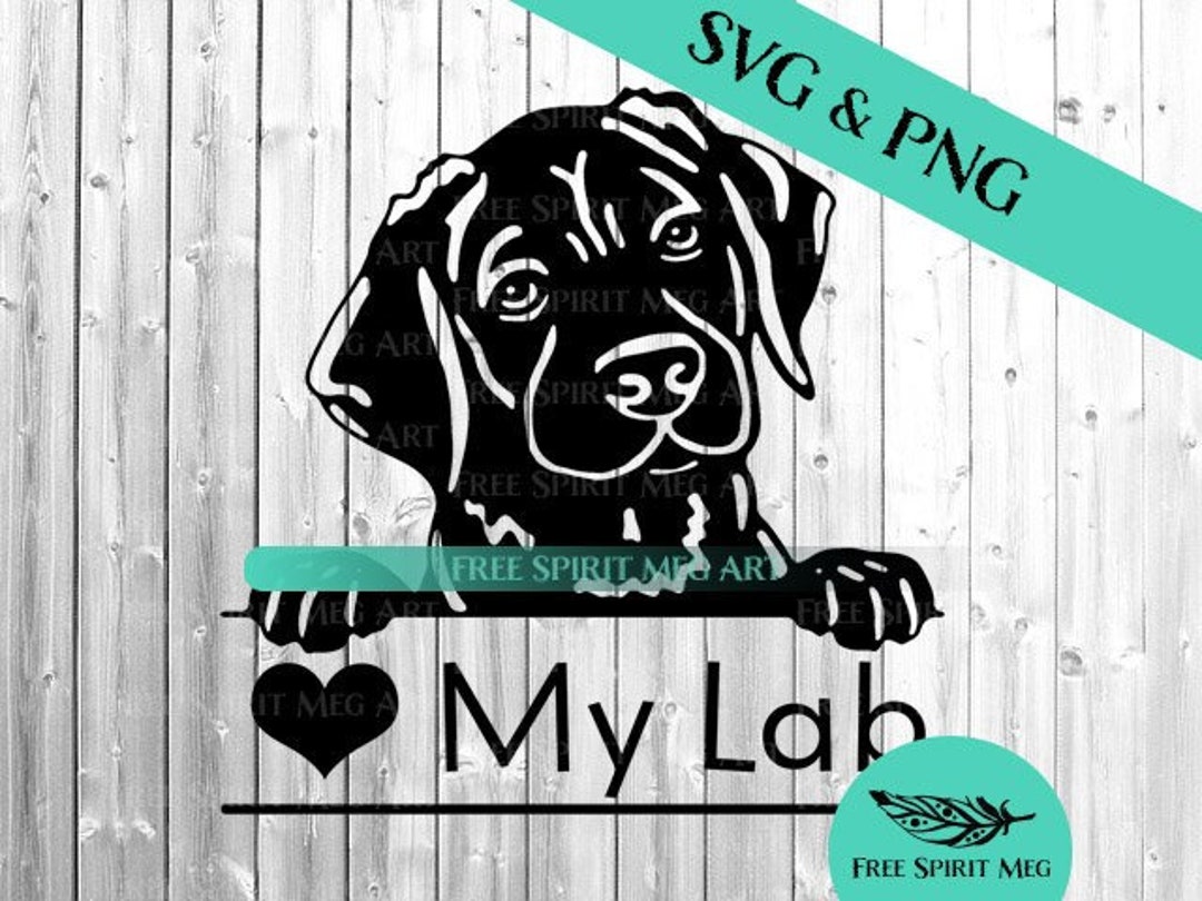 Heart My Black Lab SVG & PNG, Black or Chocolate Labrador Retriever ...