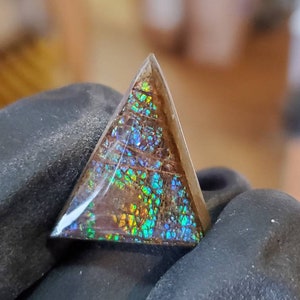 Pair of Square Cut Canadian Ammolite set in 14k Rose Gold