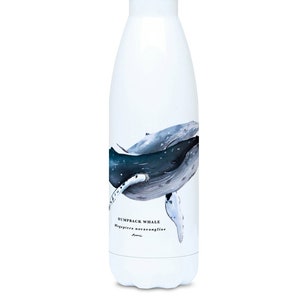 Humpback Whales 500ml Water Bottle