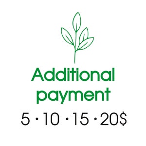 Additional Payments