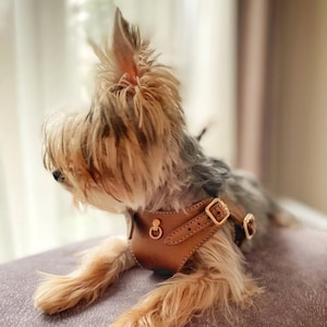 BECHIVA Soft real leather harness for small dogs/cats. Chihuahua, Yorkshire Terrier, etc. Top quality, luxury handmade product. Bronze color