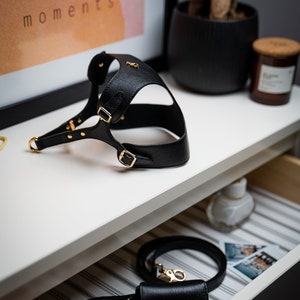 Genuine Leather Dog Harness, Small Dog Harness,Handmade Dog Harness, Designer Dog Harness, Black Dog Harness: Premium Quality
