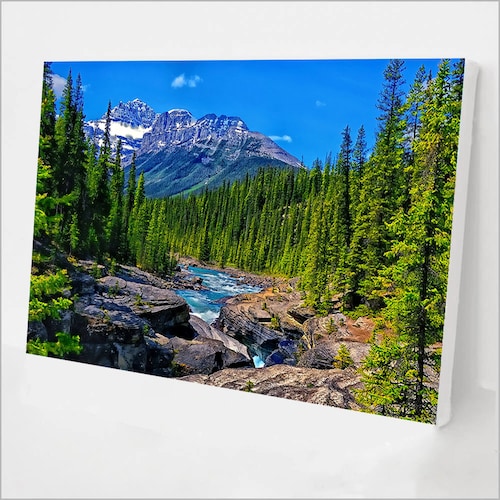 Paint by Numbers DIY Kitred Sunflowercreative Wall Art Etsy