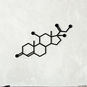 Cortisol molecule, stress hormone wood decor, biology room decor, customized wooden wall art, doctor wall art, medical office wood decor