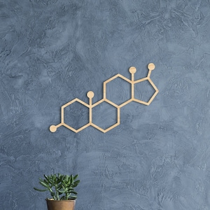 Testosterone molecule wood wall art, science class decor for classroom, chemistry decoration, boys science room decor, chemistry wood art