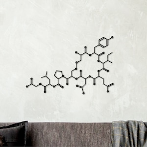 K&ouml;nnte beinhalten: Schwarze Wanddekoration aus Metall in Form einer chemischen Struktur. Die Dekoration ist an einer wei&szlig;en Wand montiert und hat die Form eines komplexen Molek&uuml;ls mit mehreren Ringen und Verzweigungen.