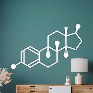 Estrogen Molecule Wall Art, Hormone Decor, Women’s Health Space Art, Feminist Wall Art, Science Wall Hanging, Minimal Wooden Molecule