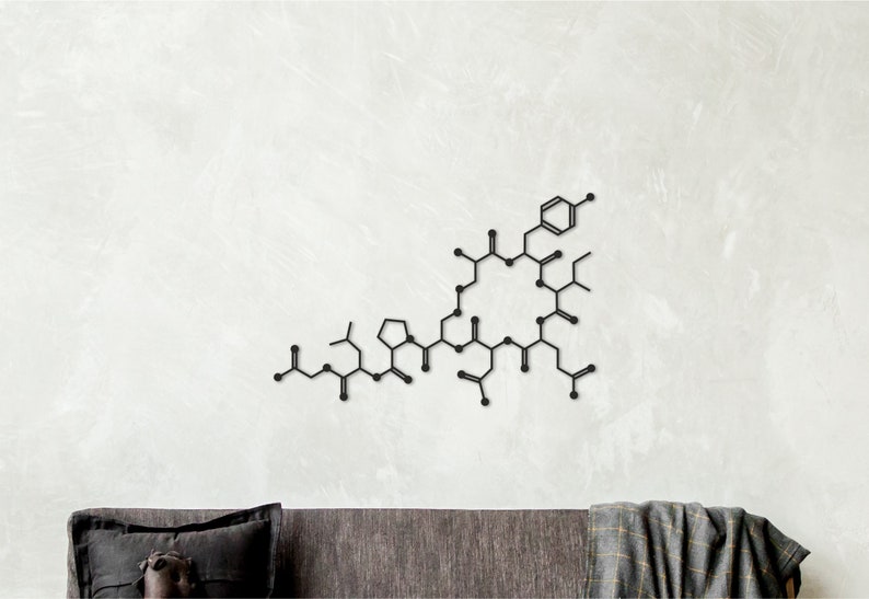 K&ouml;nnte beinhalten: Schwarze Wanddekoration aus Metall in Form einer chemischen Struktur. Die Dekoration ist an einer wei&szlig;en Wand montiert und hat die Form eines komplexen Molek&uuml;ls mit mehreren Ringen und Verzweigungen.