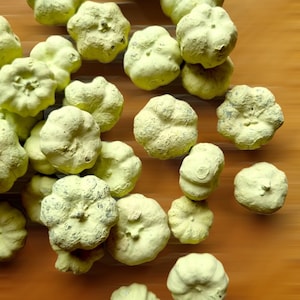 Miniature PUMPKINS, PUTKA PODS, Bowl Filler, Little Baby Pumpkins in Light Green Perfect for Decorations Crafts Wreaths and Potpourri Favour